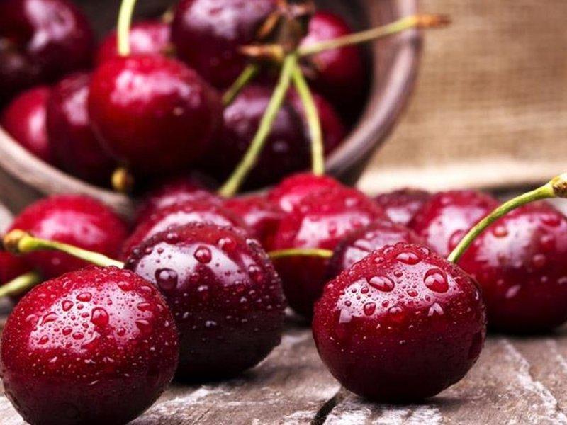 Вишня купить саженцы из питомника в Казани